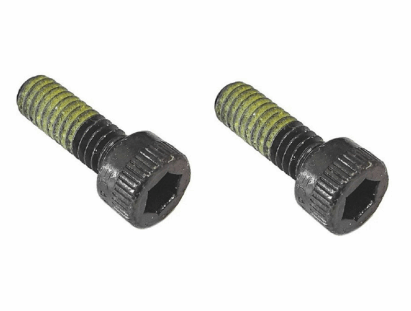 NEW PASLODE NAIL GUN 900754 SCREWS X 2
